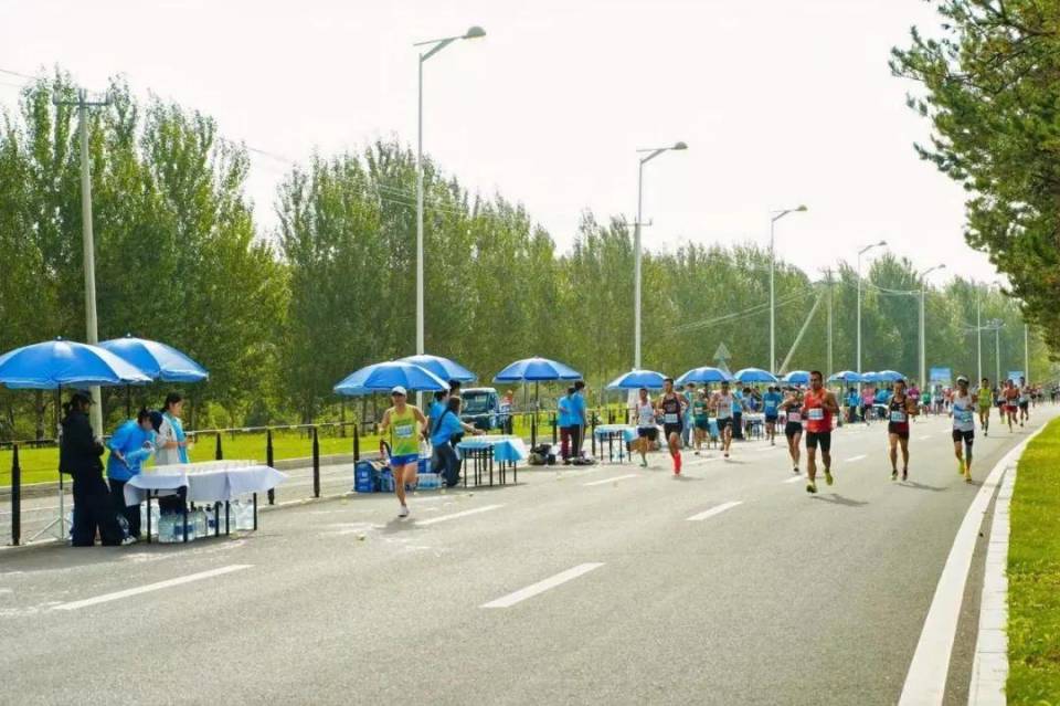 EAA, 向世界展示, 水果