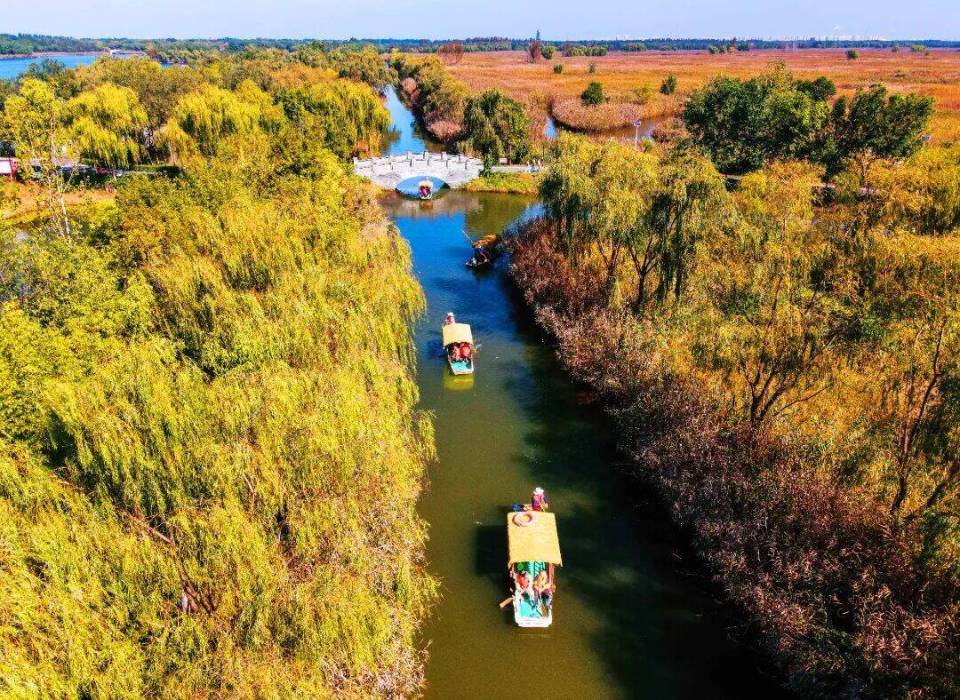 参赛选手直, fL, YV