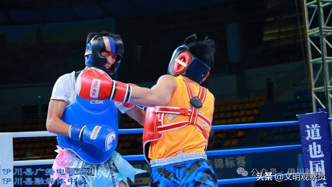 土门村的, 美展示, 挥获得